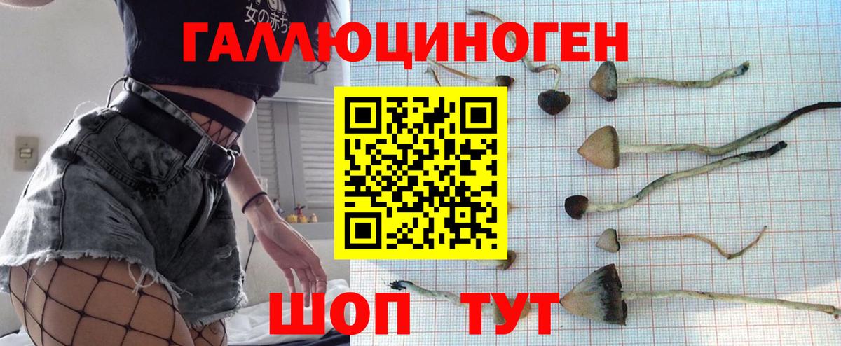 Псилоцибиновые грибы Cubensis Партизанск