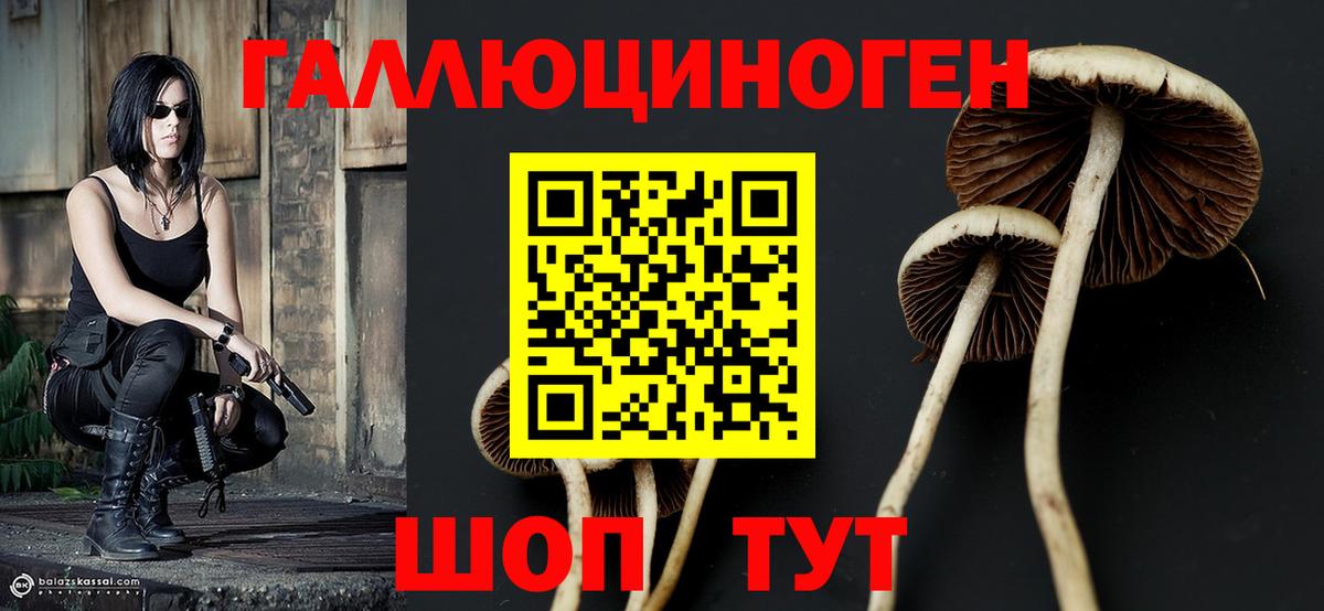 Галлюциногенные грибы MAGIC MUSHROOMS  Вход с VPN  Галлюциногенные грибы мухоморы  Партизанск 